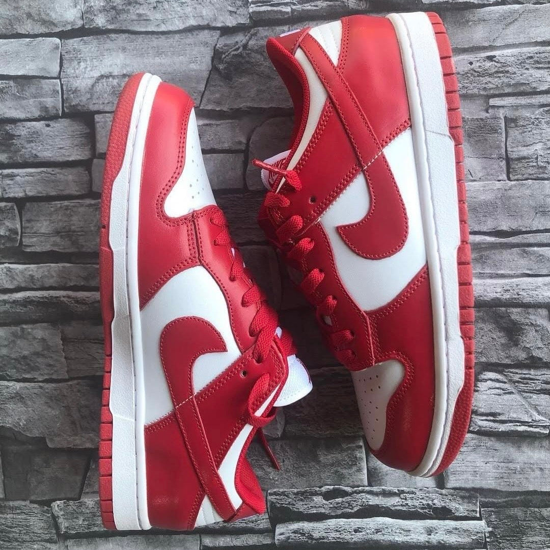 NIKE SB DUNK (AAA)